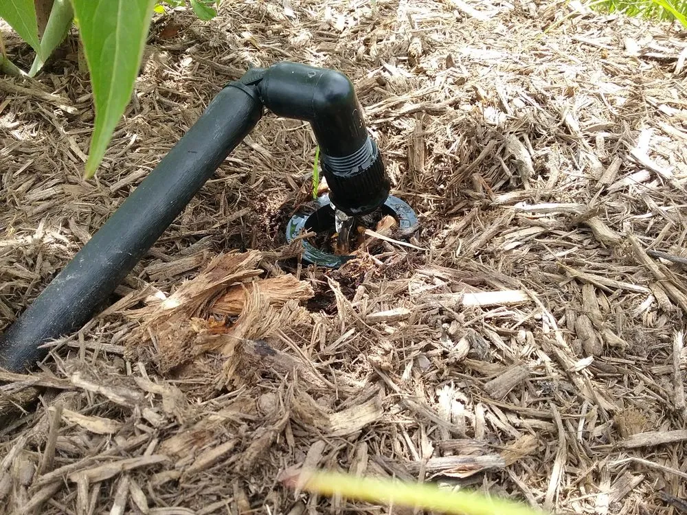 Local yard maintenance in Austin, TX - Integrated Ecosystem Technologies