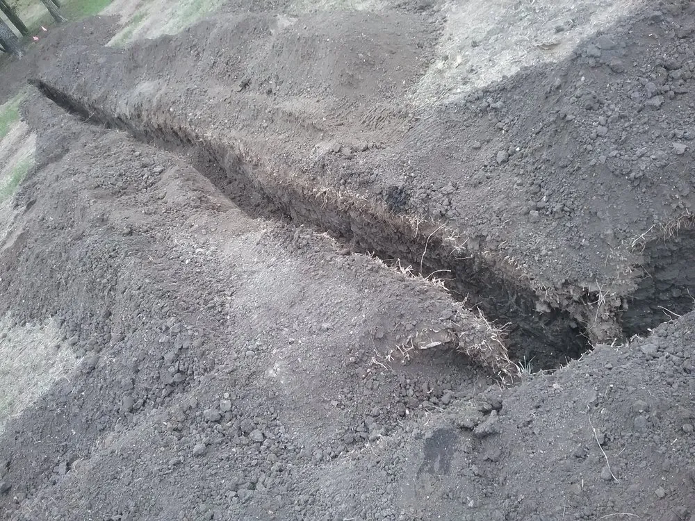 Affordable landscape installation for residential properties across Austin, TX - Integrated Ecosystem Technologies