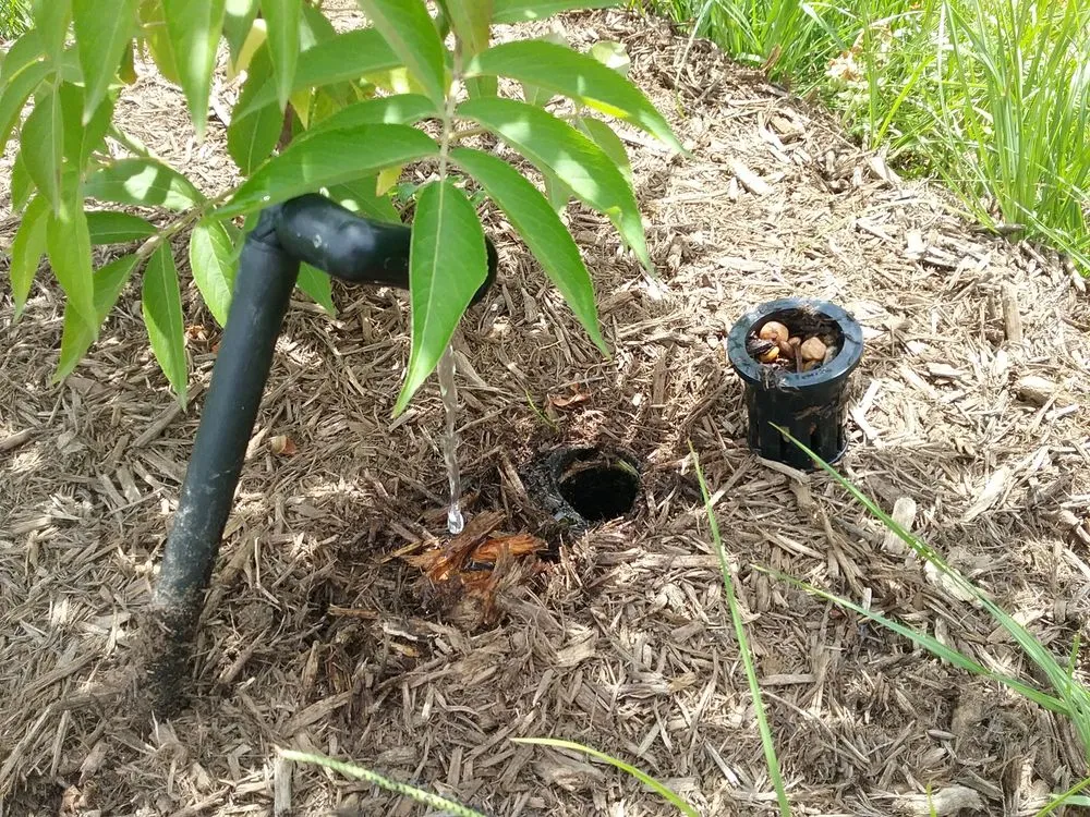 Professional lawn mowing service in Austin, TX - Integrated Ecosystem Technologies