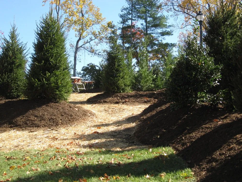 Local outdoor landscaping experts serving Asheville, NC - Integrated Landscaping Of Asheville