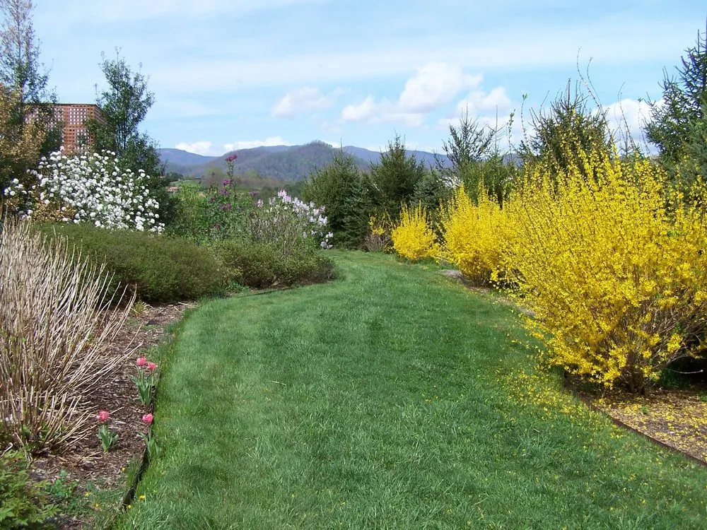 Custom yard cleanup service experts serving Asheville, NC - Integrated Landscaping Of Asheville