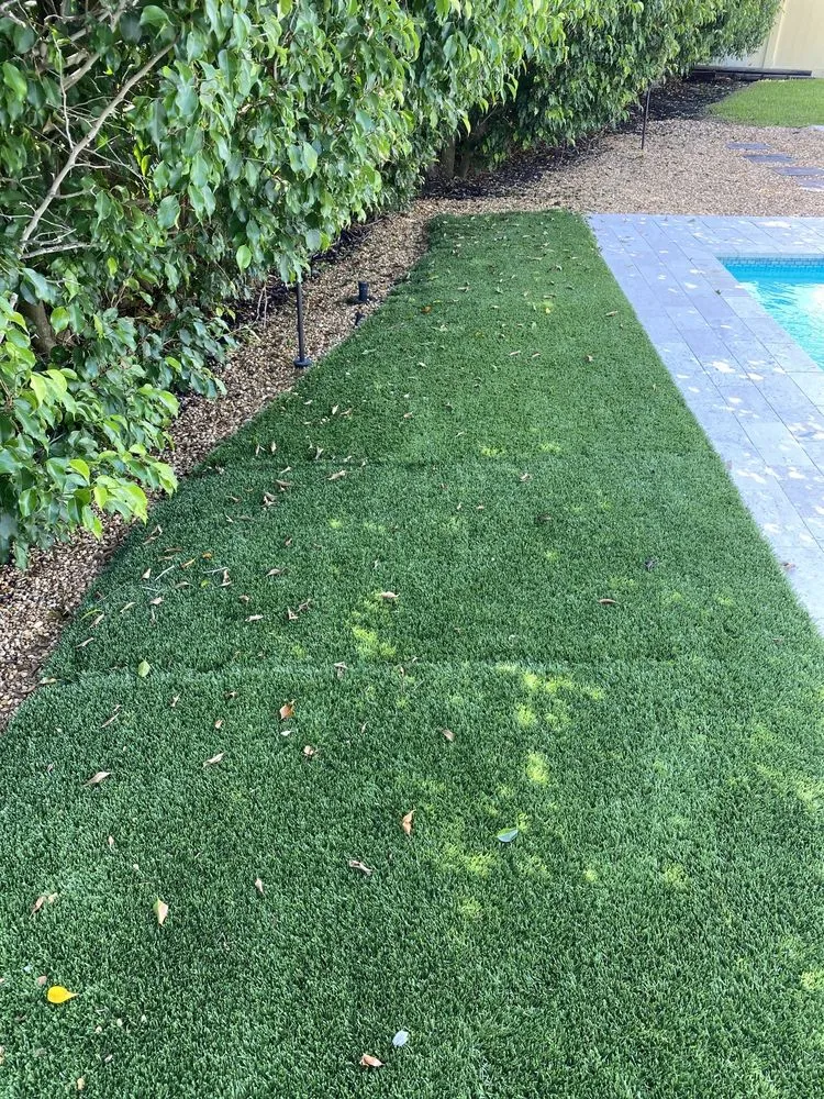 Local landscaping services in Pompano Beach, FL by Integrated Landscaping