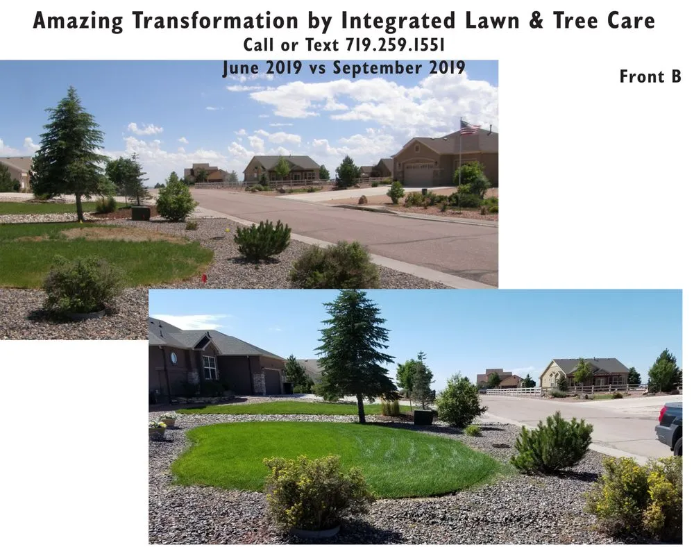Professional landscape installation with custom design across Colorado Springs, CO - Integrated Lawn Care
