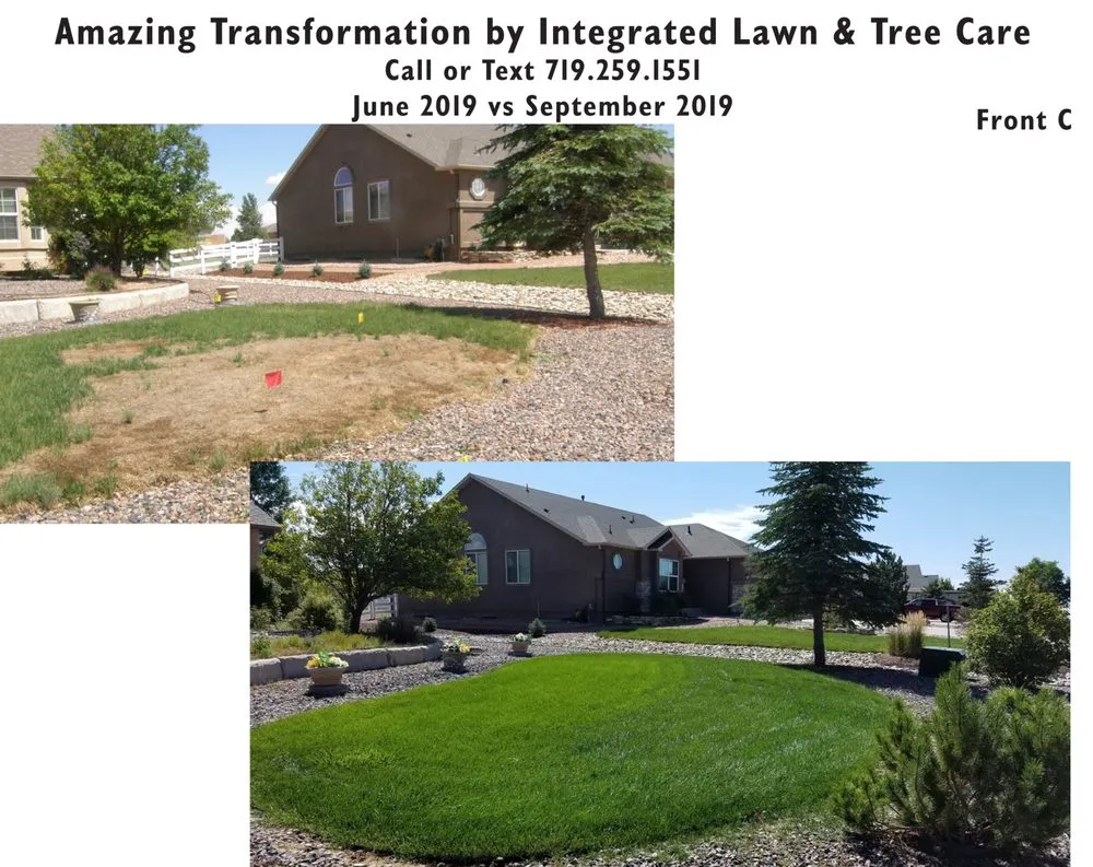 Professional yard cleanup service experts serving Colorado Springs, CO - Integrated Lawn Care