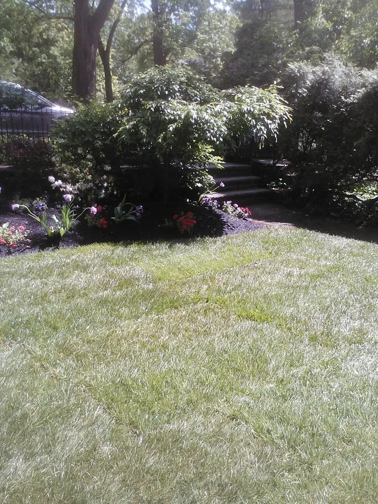 Affordable yard maintenance in Glenside, PA - Integrated Lawn Care
