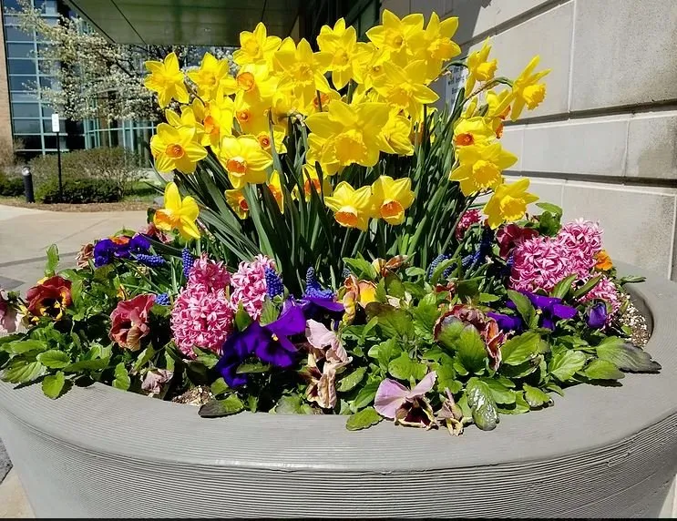 Top-rated landscaping services experts serving Byron Center, MI - Integrated Plantscapes