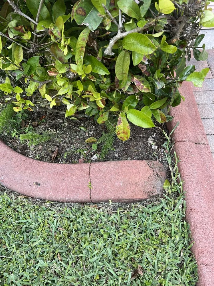 Trusted residential landscaping experts serving Coral Springs, FL - Integrated Turf Care