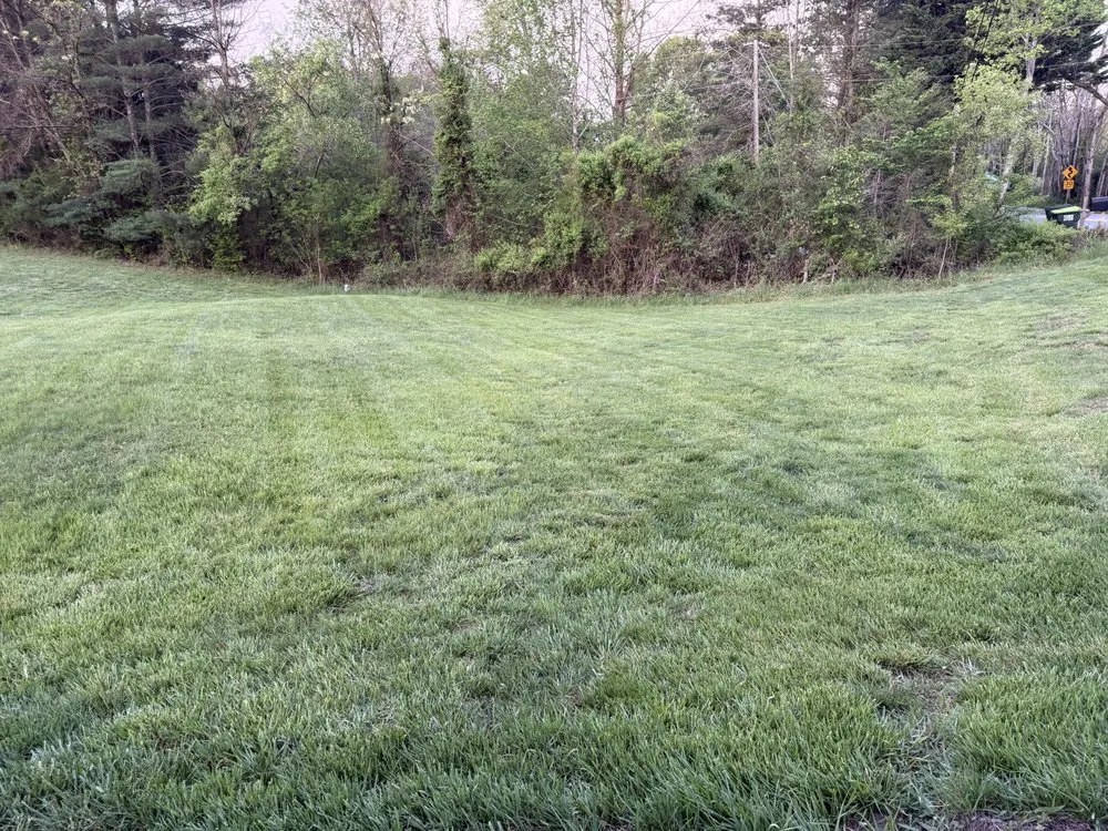 Local landscaping services in Earlysville, VA - Integrated Turf Management