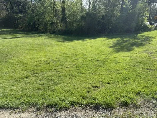 Integrated Turf Management