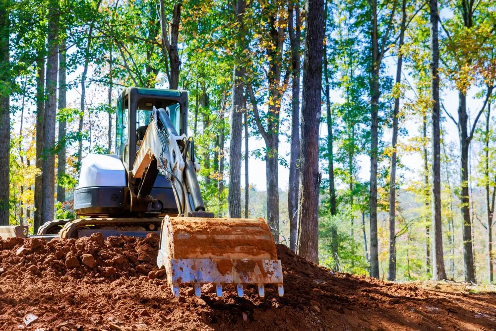 Top-rated garden landscaping in Rockwall, TX - Integris Property Services