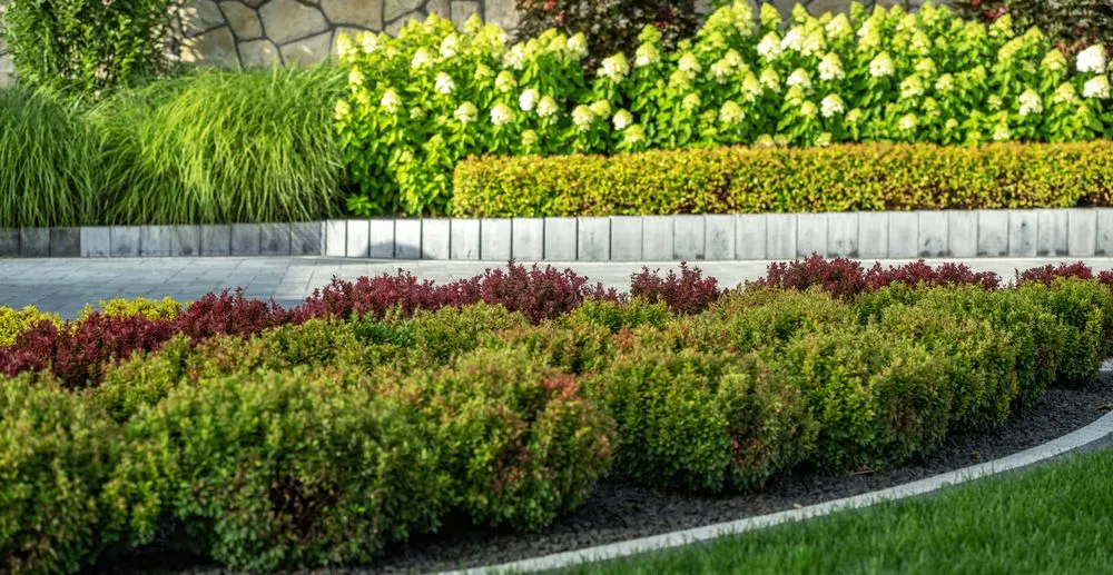 Affordable lawn mowing service in Rockwall, TX - Integris Property Services