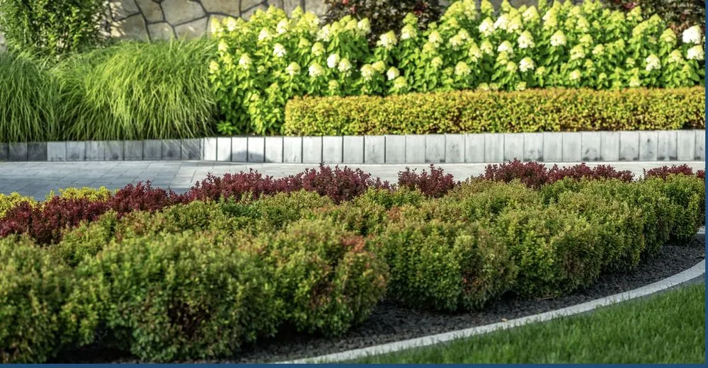 Expert landscape design for year-round maintenance in Rockwall, TX by Integris Property Services