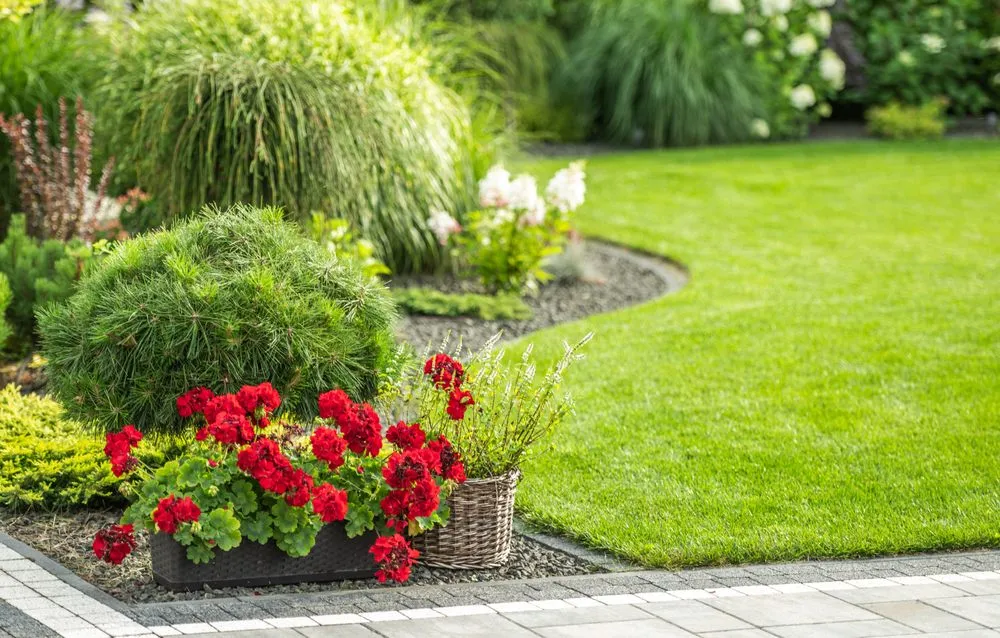 Trusted garden landscaping in Rockwall, TX by Integris Property Services