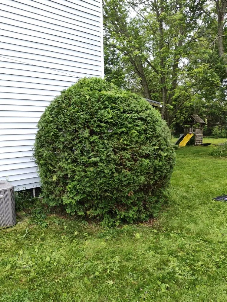 Trusted lawn care service experts serving Canton, OH - Integrital Home Solutions