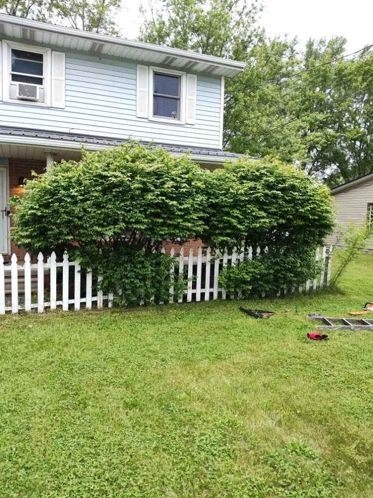 Professional landscape design for residential properties across Canton, OH - Integrital Home Solutions