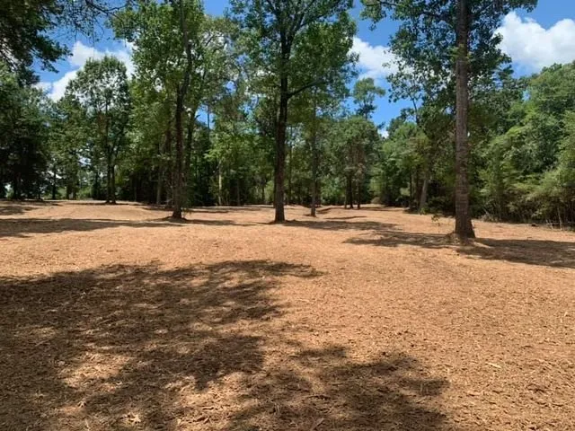Professional residential landscaping in Trinidad, TX - Integrity cuts