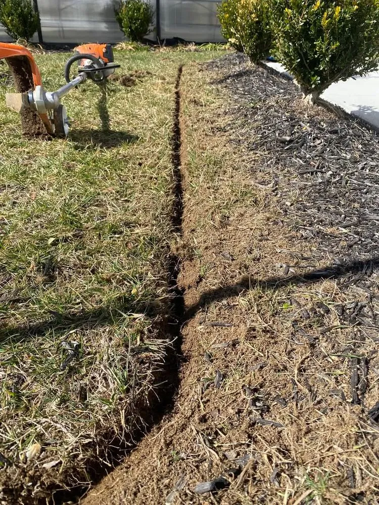 Professional lawn care service in Trinidad, TX - Integrity cuts