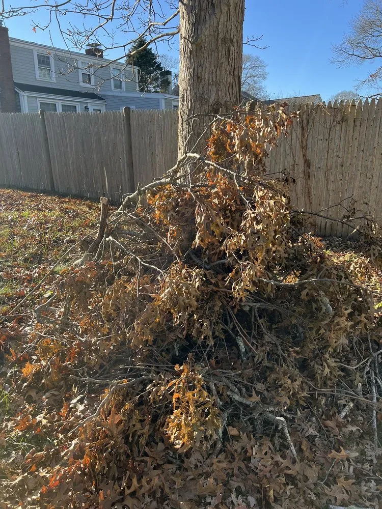 Affordable landscape design for homes across West Wareham, MA - Integrity First Landscaping