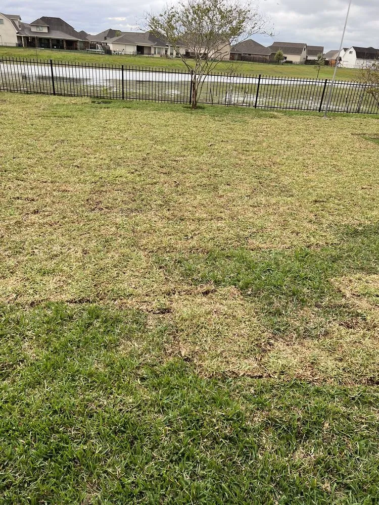 Local lawn care service in Hitchcock, TX by Integrity Grass Sales & Services