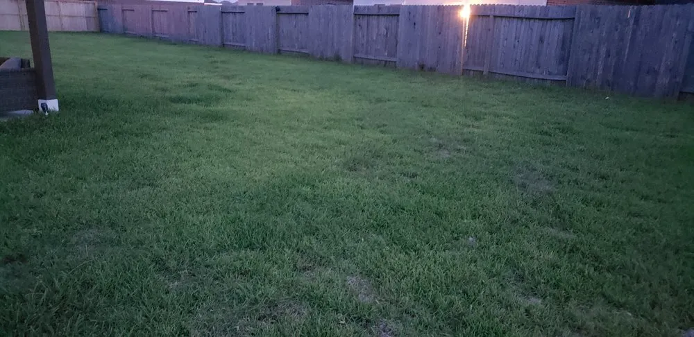 Professional yard cleanup service experts serving Hitchcock, TX - Integrity Grass Sales & Services