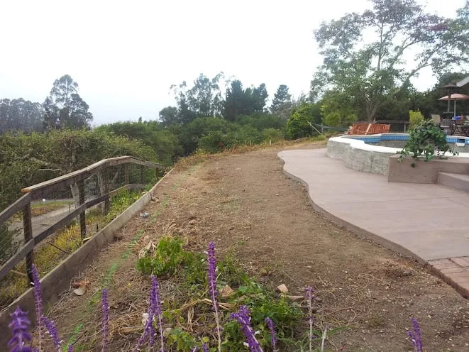 Professional lawn care service in San Jose, CA by Integrity Greens