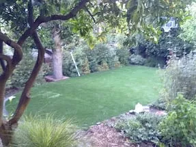 Local lawn mowing service in San Jose, CA - Integrity Greens