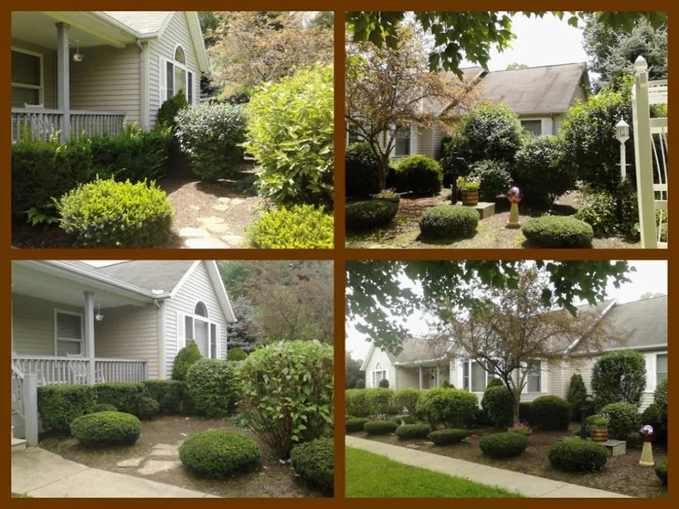 Custom yard cleanup service in Doylestown, OH by Integrity Ground Maintenance