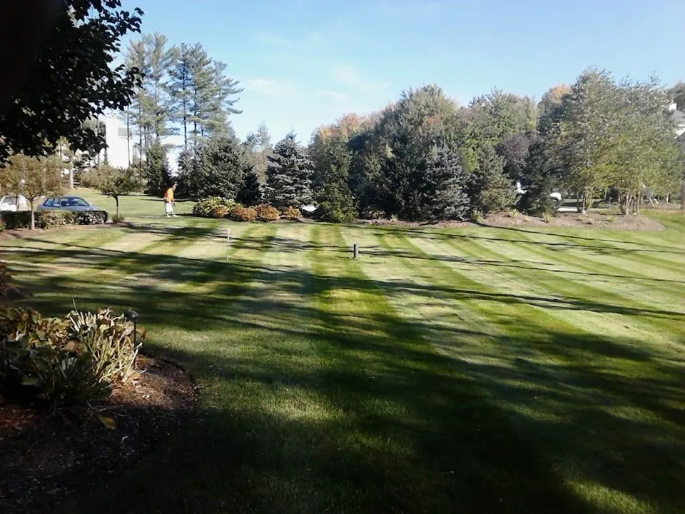 Expert yard cleanup service for beautiful yards in Doylestown, OH by Integrity Ground Maintenance