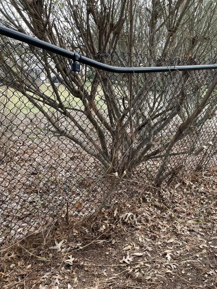 Affordable yard maintenance for year-round maintenance across Langhorne, PA - Integrity Hauling and Construction