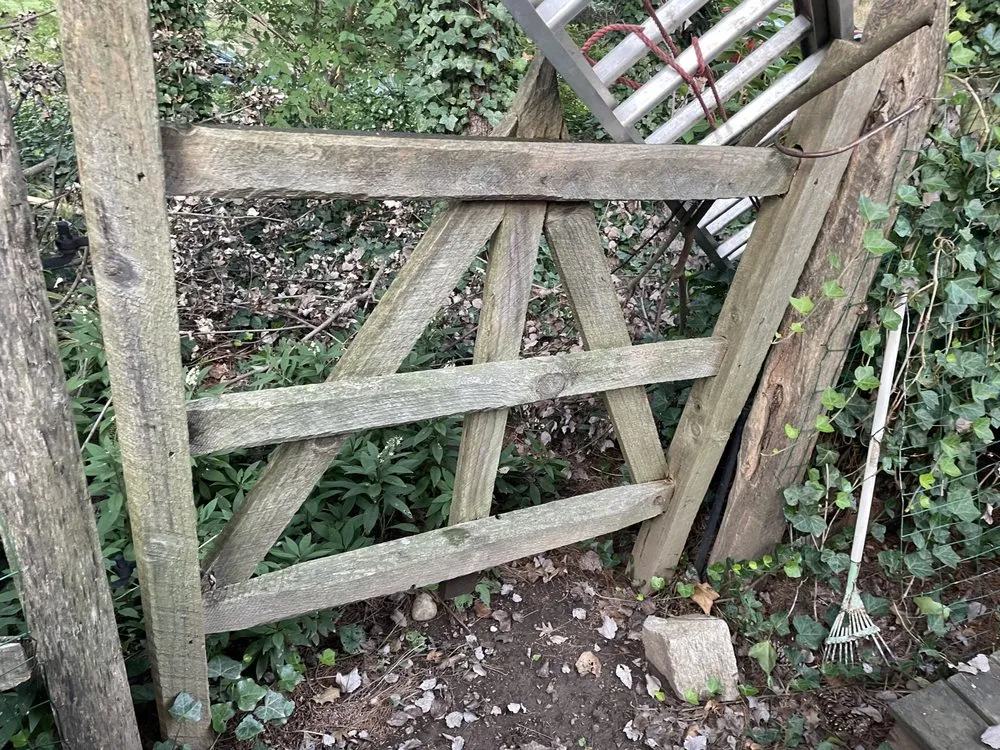 Professional yard maintenance for outdoor upgrades across Langhorne, PA - Integrity Hauling and Construction