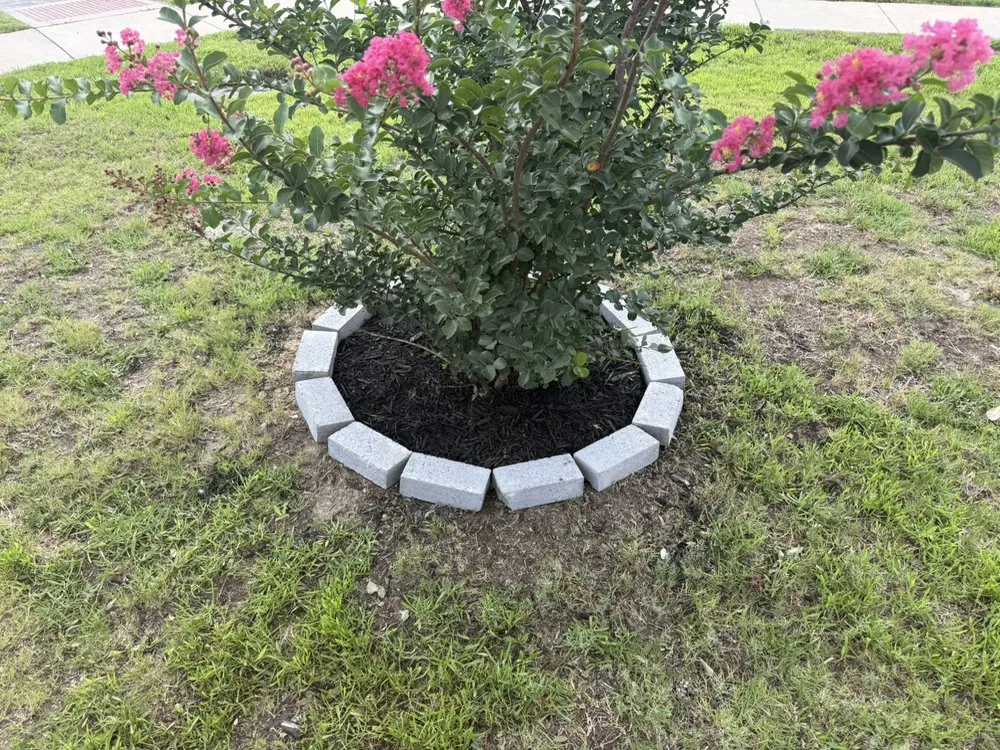 Professional lawn care service in Dallas, TX - Integrity Home Landscaping