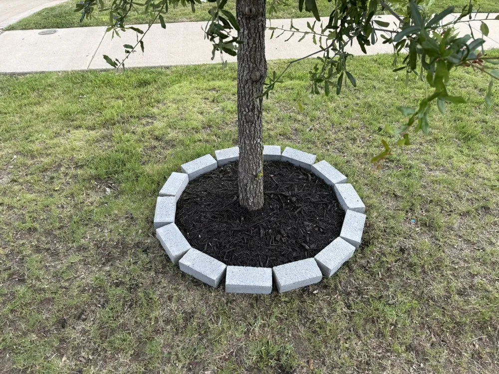 Custom outdoor landscaping for year-round maintenance across Dallas, TX - Integrity Home Landscaping