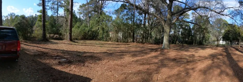 Professional outdoor landscaping for residential properties across Nichols, SC - Integrity Land Enhancement