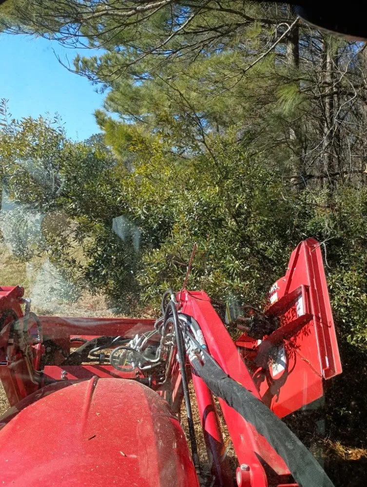 Reliable residential landscaping for year-round maintenance across Nichols, SC - Integrity Land Enhancement
