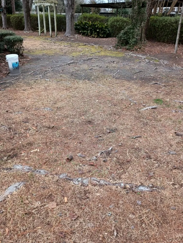 Expert lawn mowing service for outdoor upgrades across Nichols, SC - Integrity Land Enhancement