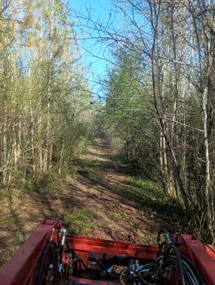 Professional landscaping services for homes across Nichols, SC - Integrity Land Enhancement