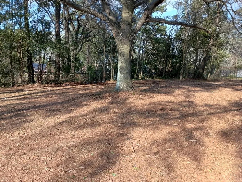 Affordable lawn care service in Nichols, SC by Integrity Land Enhancement