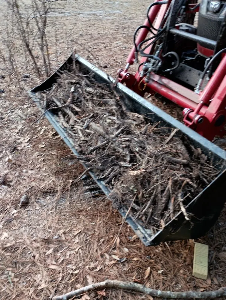 Top-rated landscaping services with custom design across Nichols, SC - Integrity Land Enhancement