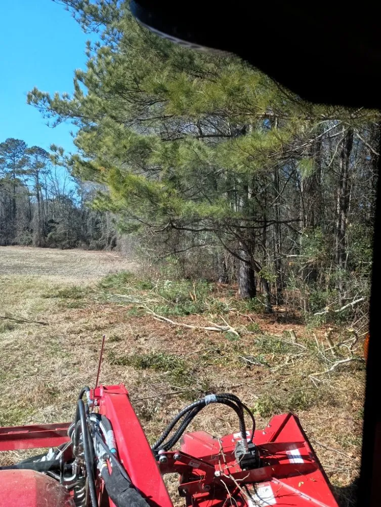 Expert landscape installation for beautiful yards across Nichols, SC - Integrity Land Enhancement