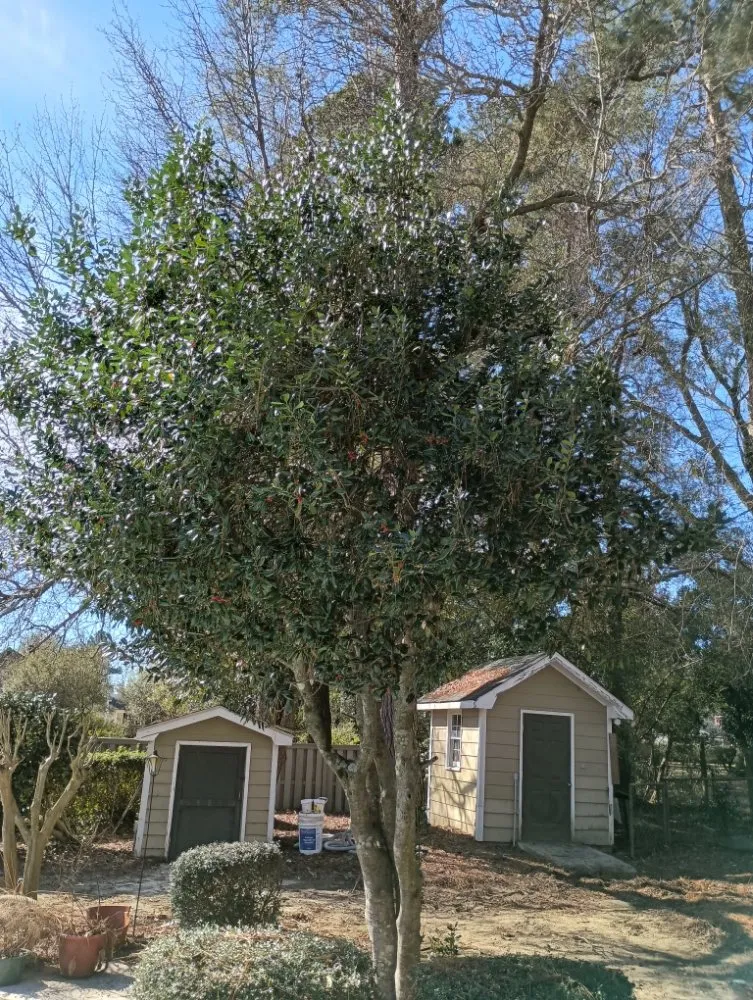Trusted garden landscaping in Nichols, SC by Integrity Land Enhancement