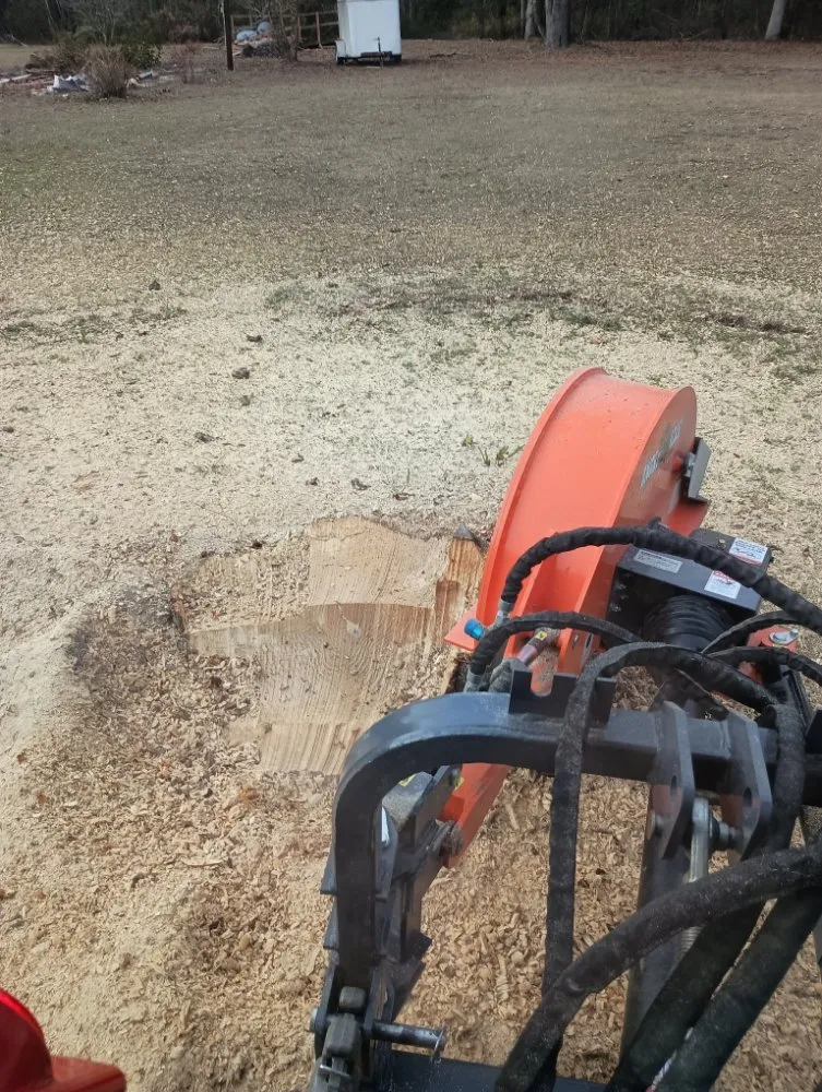 Custom lawn care service in Nichols, SC - Integrity Land Enhancement