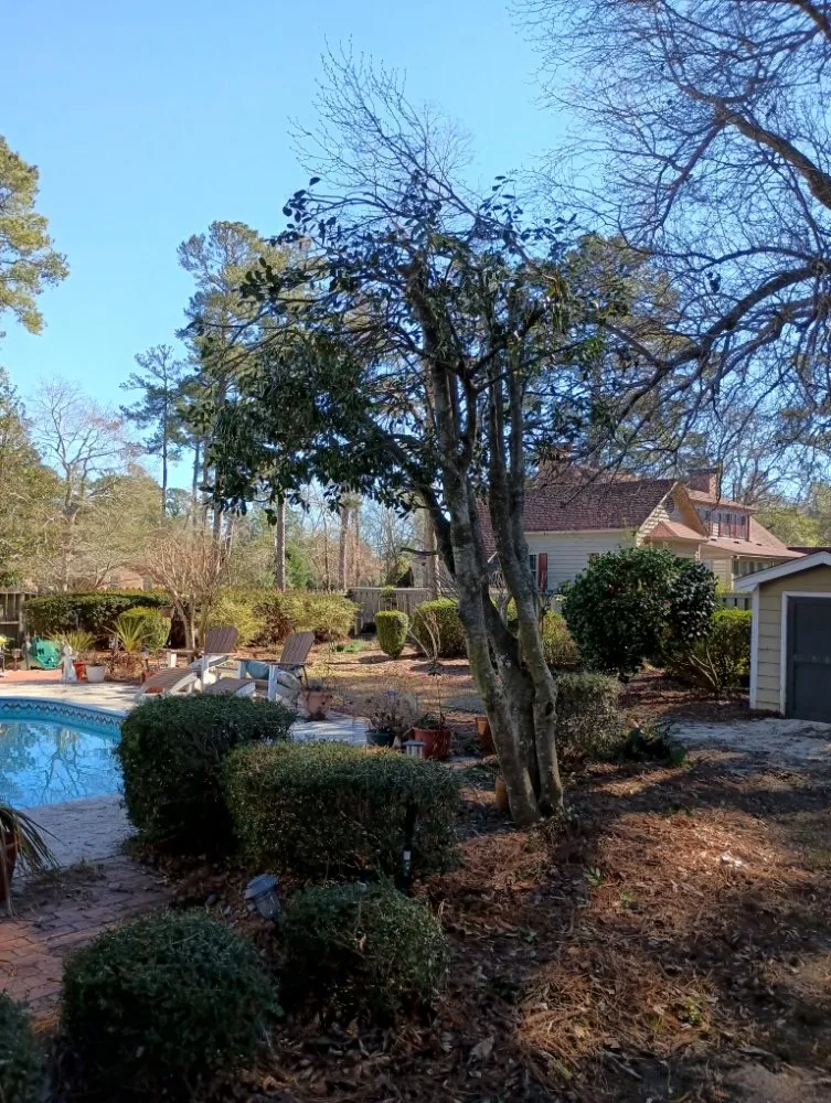 Expert yard cleanup service for homes in Nichols, SC by Integrity Land Enhancement