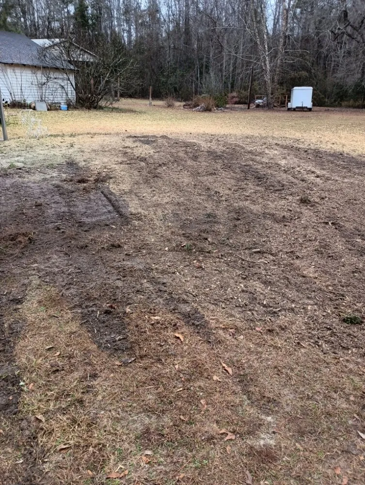 Reliable lawn care service for beautiful yards in Nichols, SC by Integrity Land Enhancement