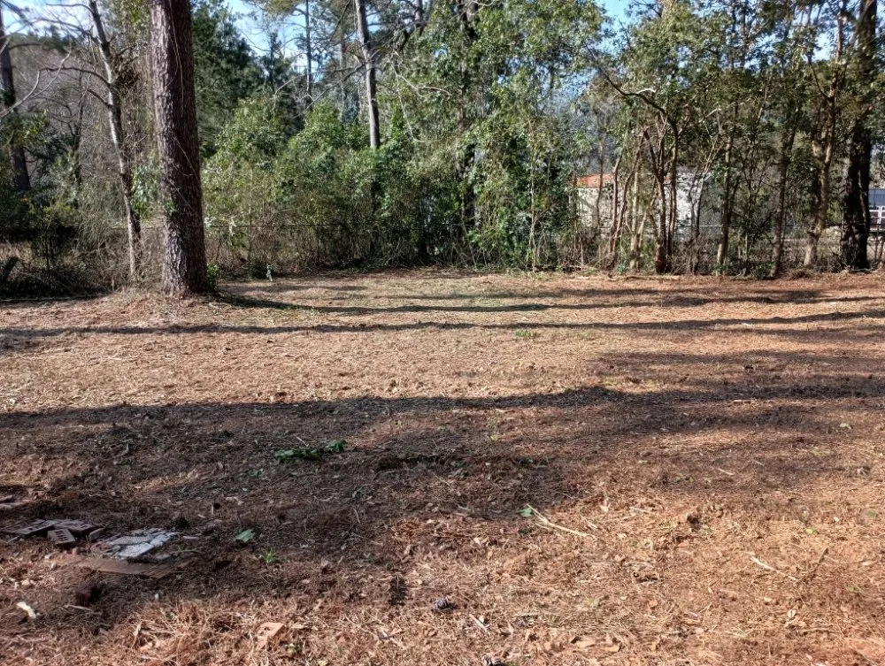 Reliable lawn mowing service for beautiful yards across Nichols, SC - Integrity Land Enhancement