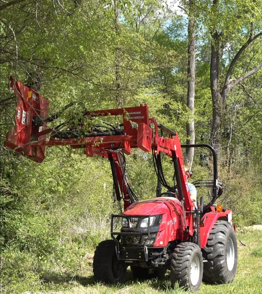 Reliable yard cleanup service with custom design in Nichols, SC by Integrity Land Enhancement