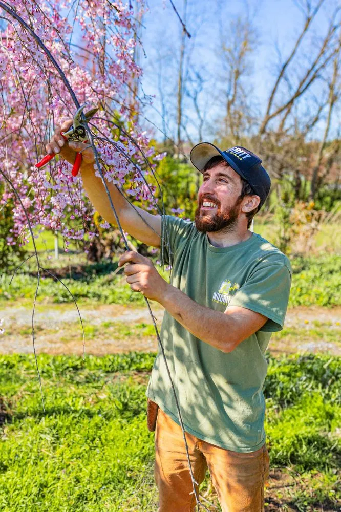 Affordable landscaping services experts serving Lebanon, PA - Integrity Land Works