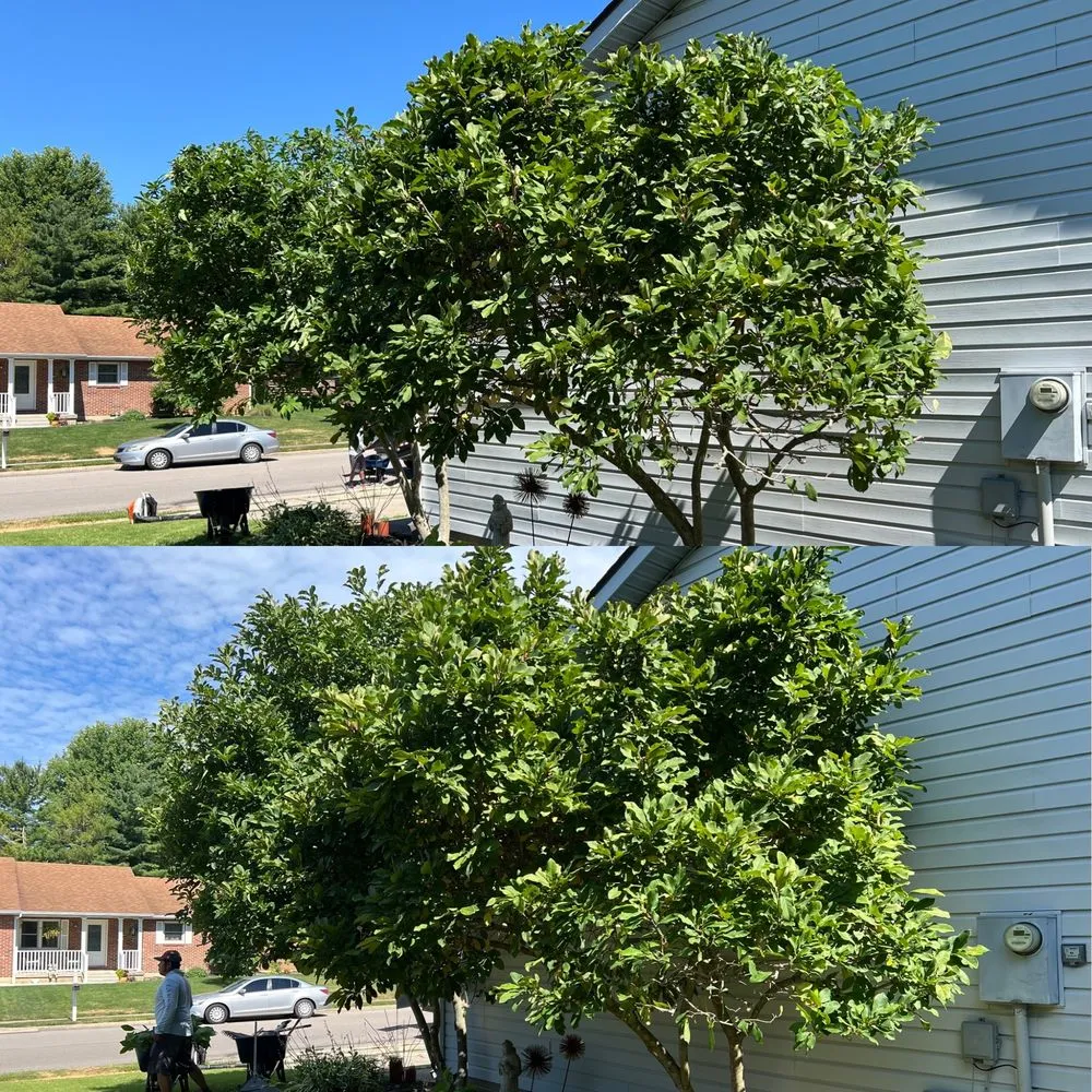 Expert outdoor landscaping in Wilmington, OH by Integrity Landcare