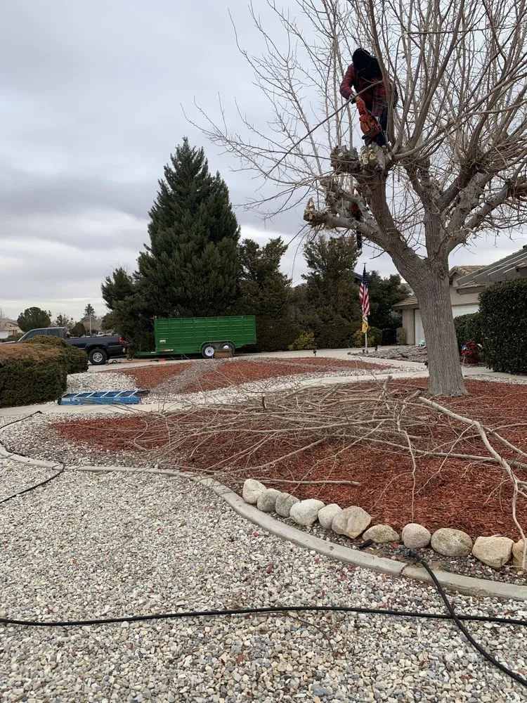 Expert garden landscaping for outdoor upgrades across Apple Valley, CA - Integrity landscape & design