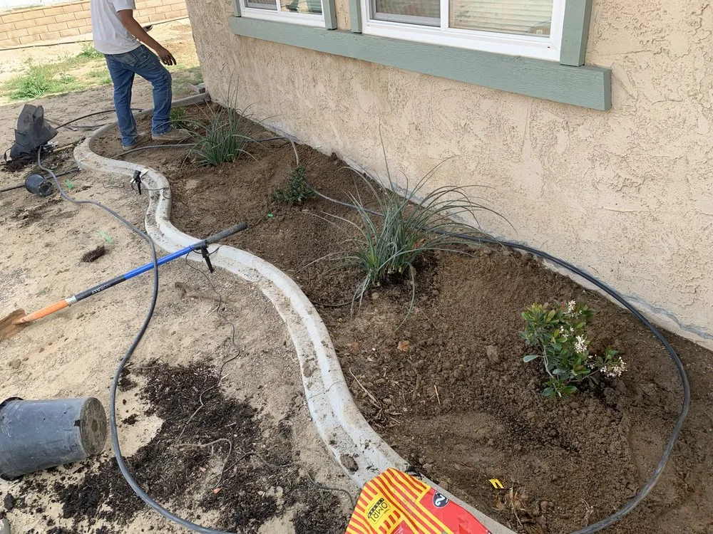 Trusted yard cleanup service experts serving Apple Valley, CA - Integrity landscape & design