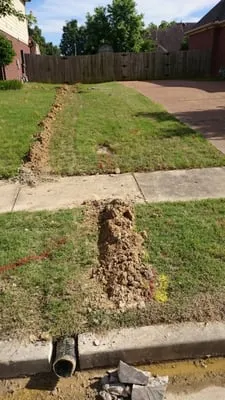 Integrity Landscape and Design